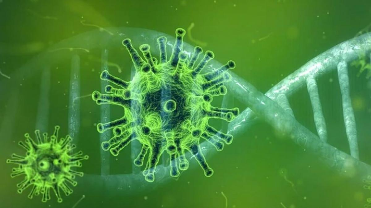 Ministerul Sănătății, prima reacție în cazul românului infectat cu coronavirus: "Nu e un caz sever"