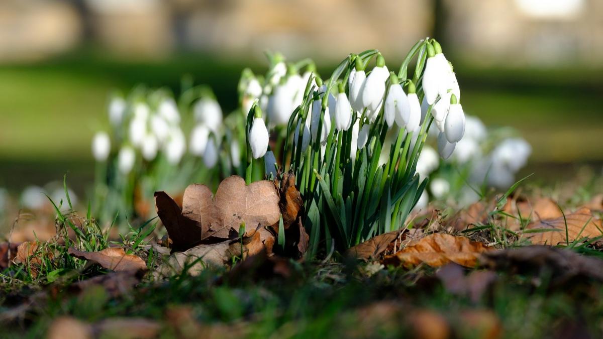 Vremea. Prognoza meteo pentru luni, 17 februarie. Temperaturi incredibile pentru această perioadă