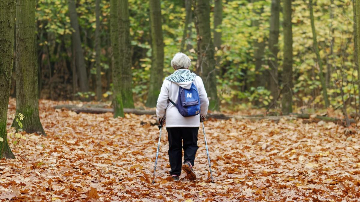 O bătrână din Argeş a rătăcit o noapte întreagă în frig, prin pădure. A plecat de acasă şi nu a mai ştiut să se întoarcă