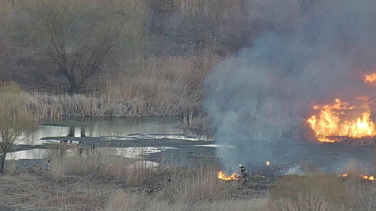 Al doilea incendiu în Delta Văcărești, la nici 24 de ore după ce flăcările au devastat 20.000 de metri pătraţi de vegetație