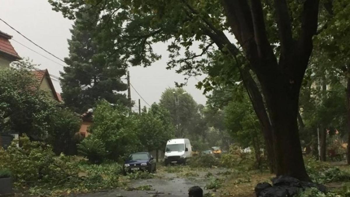 Alertă meteo. Cod galben de vânt puternic, în 24 de județe, de luni dimineață