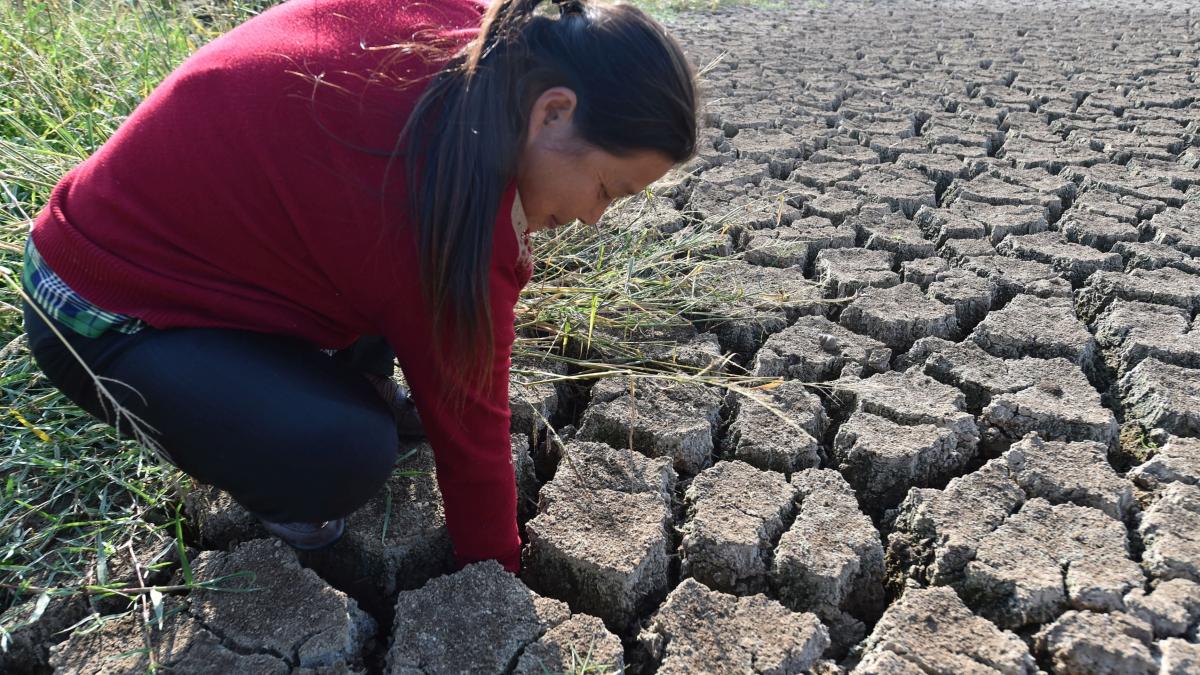 ALDE avertizează: Agricultura românească rămâne în starea de urgenţă