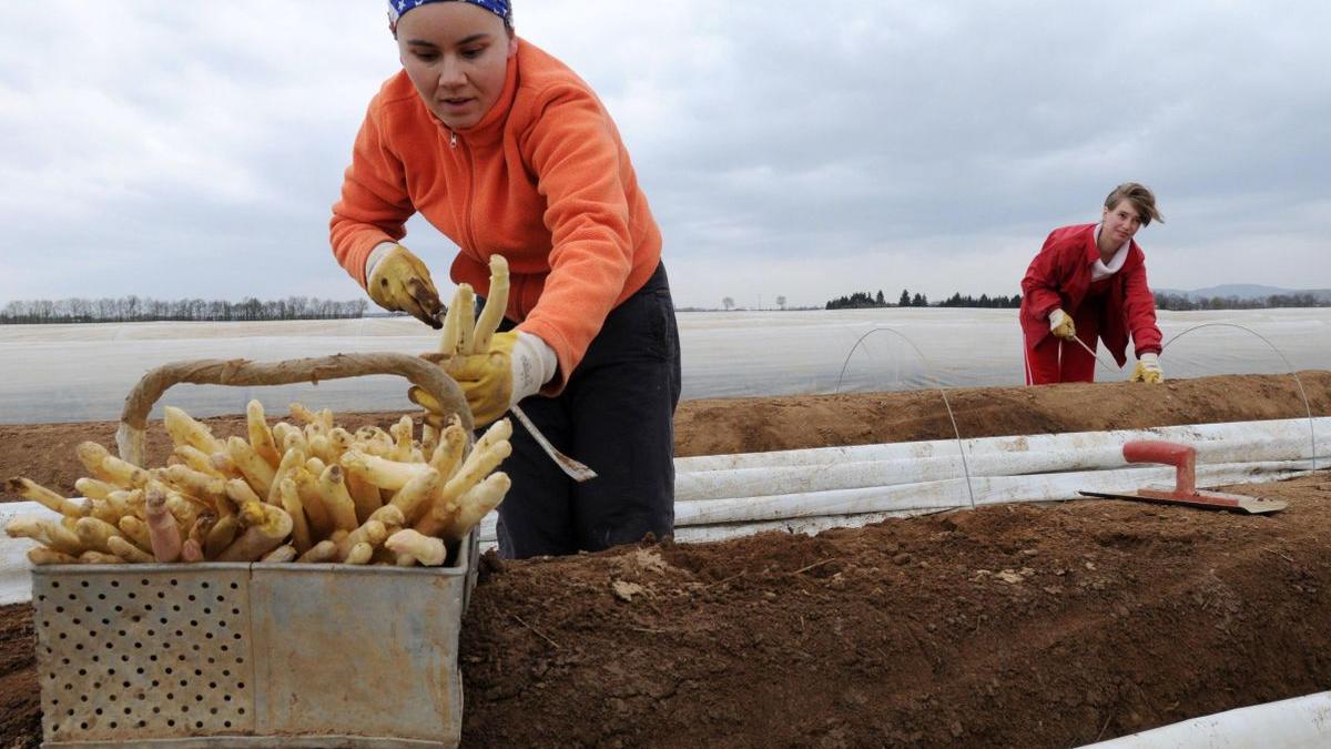 Muncitori români plecați la muncă în Germania, dați afară de angajatori și abandonați în gară