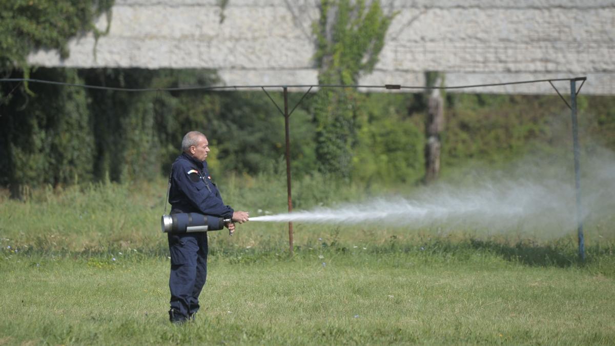 Poluare pe lacul de acumulare Băneasa. Apele Române: S-au montat baraje absorbante