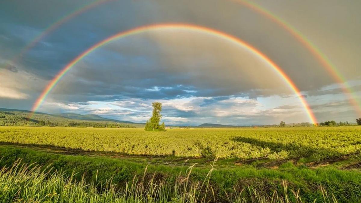 Prognoza meteo 1-5 iunie 2020. Vremea se schimbă în primele zile din iunie