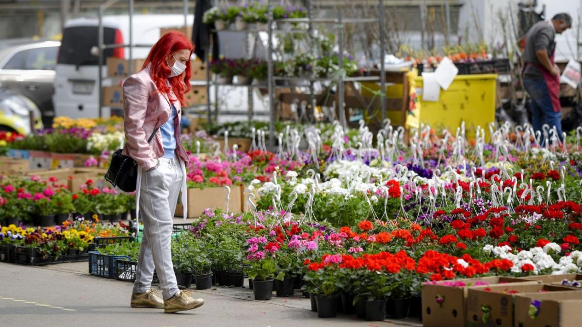 Reportaj cu camera ascunsă! Preţul florilor, stabilit pe loc, în funcţie de cumpărător