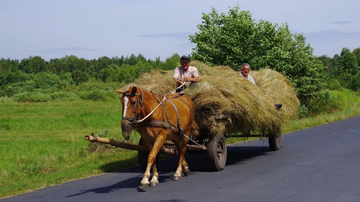 Carantină totală într-o localitate din România. Oamenii sunt speriaţi şi spun că supravieţuiesc cum pot