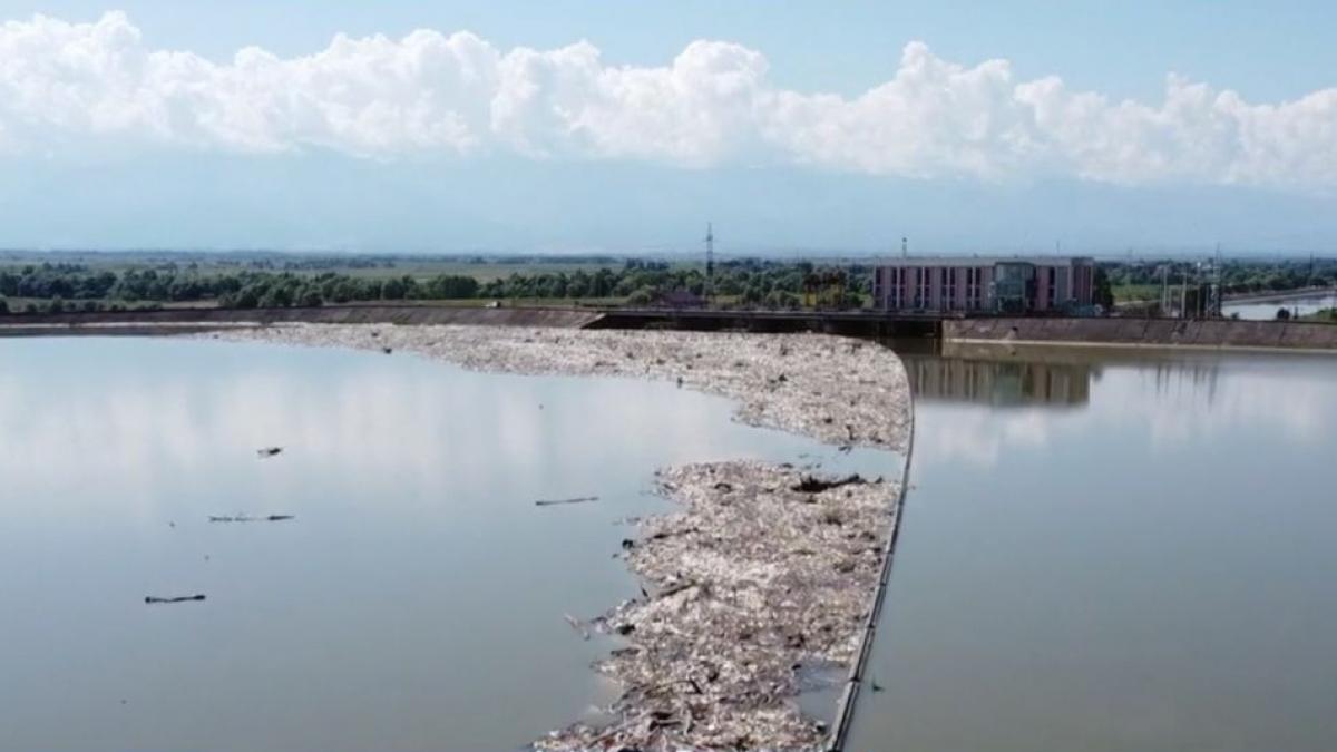 Dezastru ecologic! Judeţul în care mirosul tonelor de gunoaie este greu de suportat