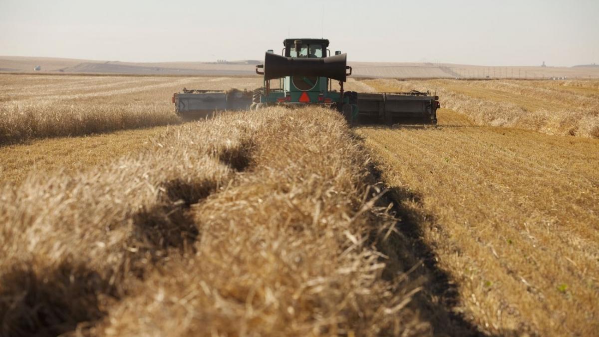 Agricultorii se plâng că recolta de toamnă este aproape distrusă. Anunţul făcut de meteorologi