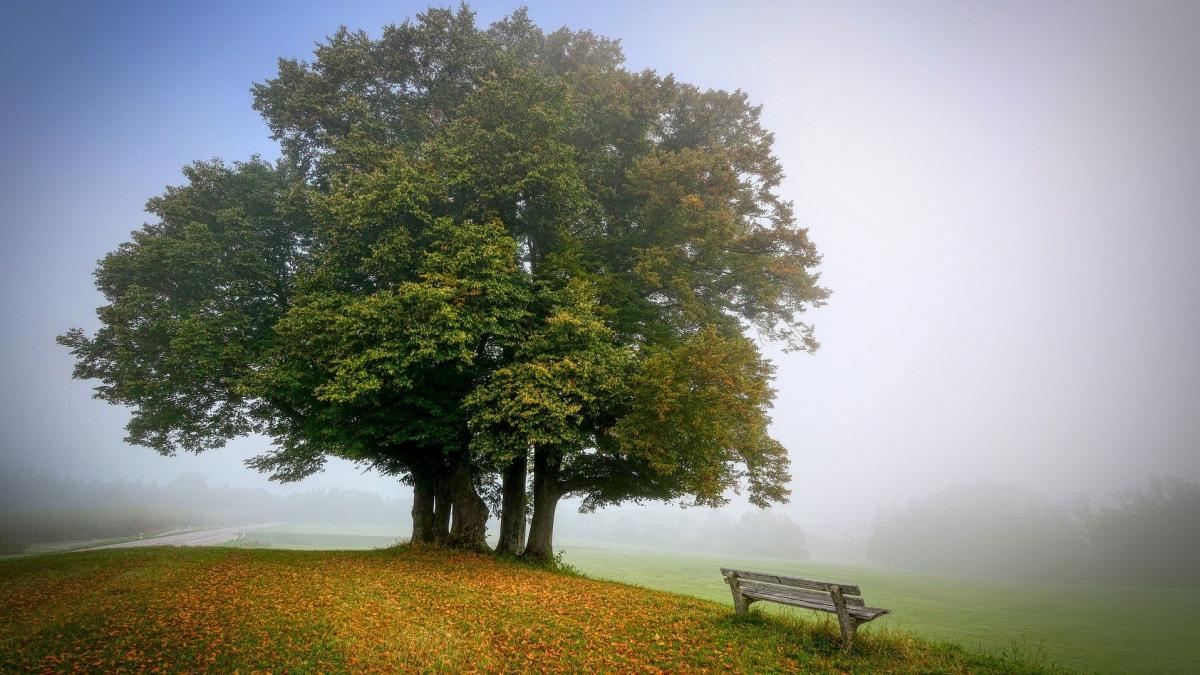 Vești neașteptate de la meteorologi. Schimbare a vremii de la o zi la alta