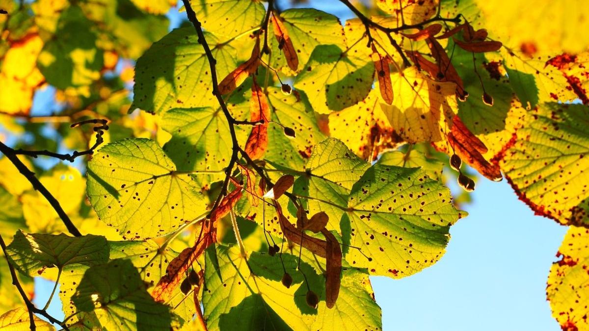 Val de aer cald peste România! Prognoza METEO 20 octombrie 2020