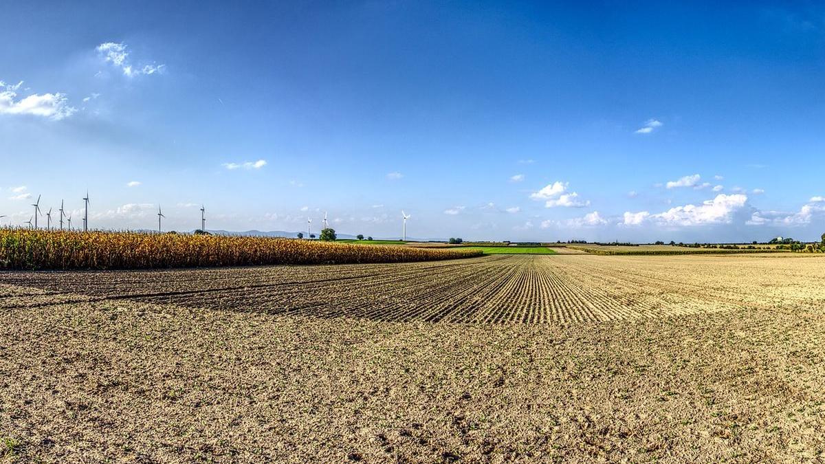 Descoperire şocantă lângă Capitală! Mai multe fragmente osoase au fost găsite pe un câmp