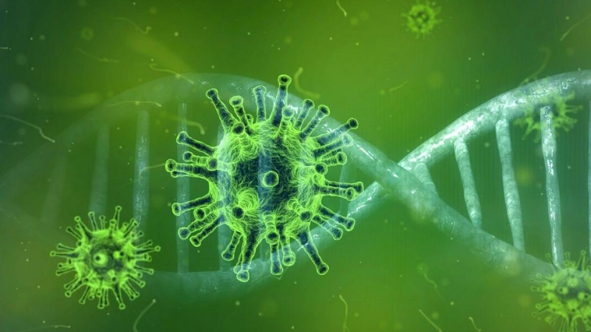 Cea mai clară imagine realizată vreodată cu noul coronavirus. Adevărata formă a proteinelor spike