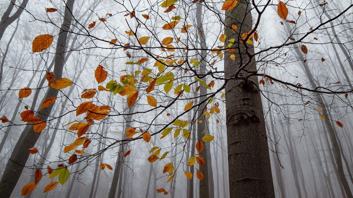 Vremea se schimbă radical. Anunţul meteorologilor