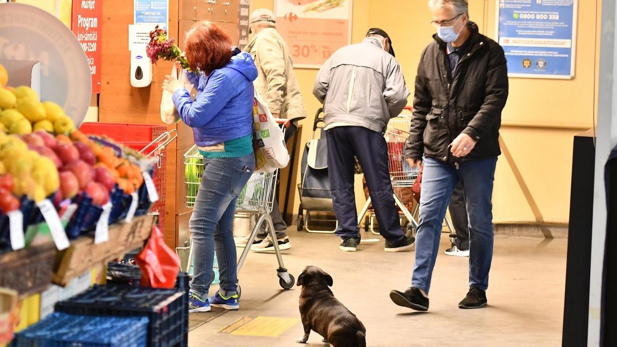 Restricţii în supermarket de sărbători. Mai putem folosi sau nu coşurile de cumpărături