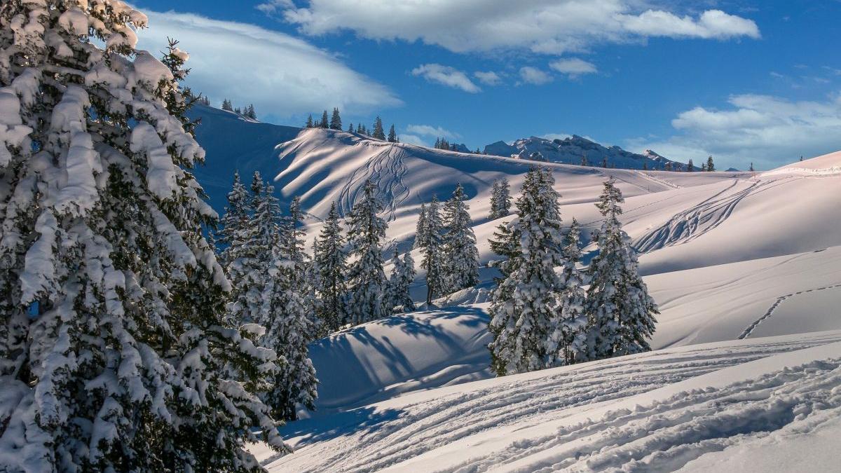 Unde va fi zăpadă de Revelion? Ultimul anunț al meteorologilor