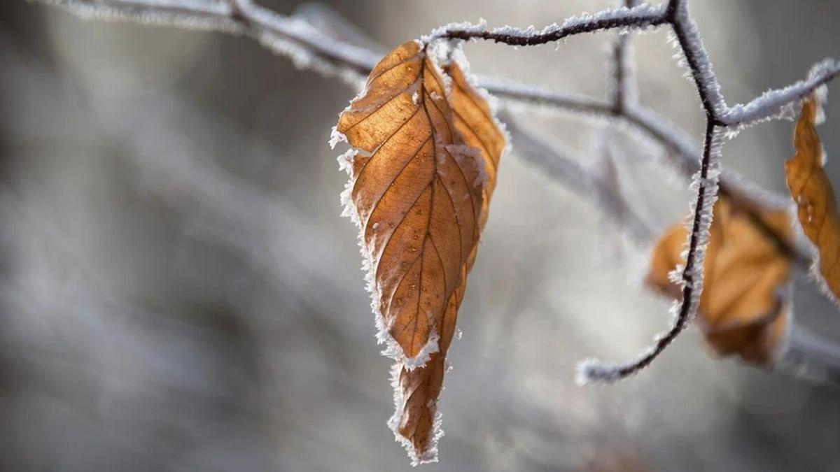 Cum va fi vremea în prima lună din 2021. Vestea neaşteptată adusă de meteorologi