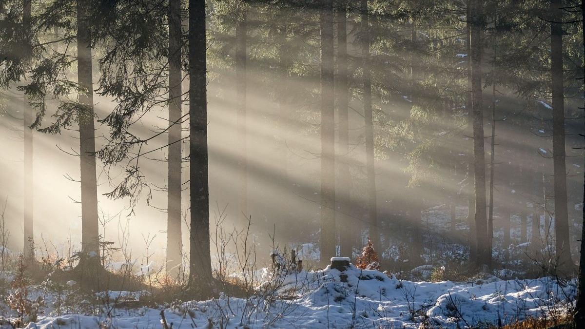 Prognoza METEO pentru următoarele 2 săptămâni. Temperaturi anormale pentru această perioadă