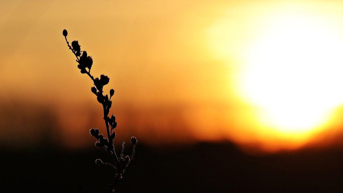 Vremea se schimbă radical! Prognoza METEO 21 ianuarie