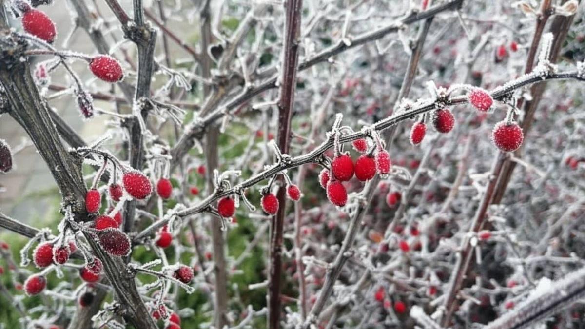 Prognoza meteo 6-7 martie 2021. Zonele din ţară unde vor predomina ninsorile