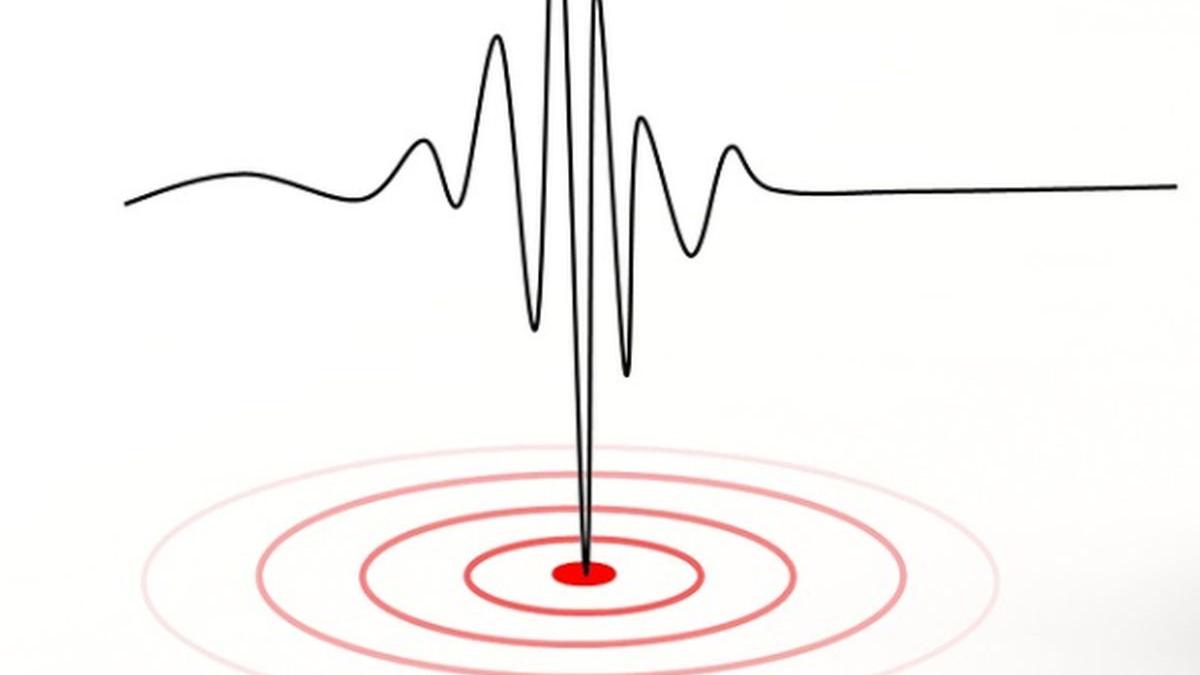 Cutremur în Buzău. Ce magnitudine a avut seismul