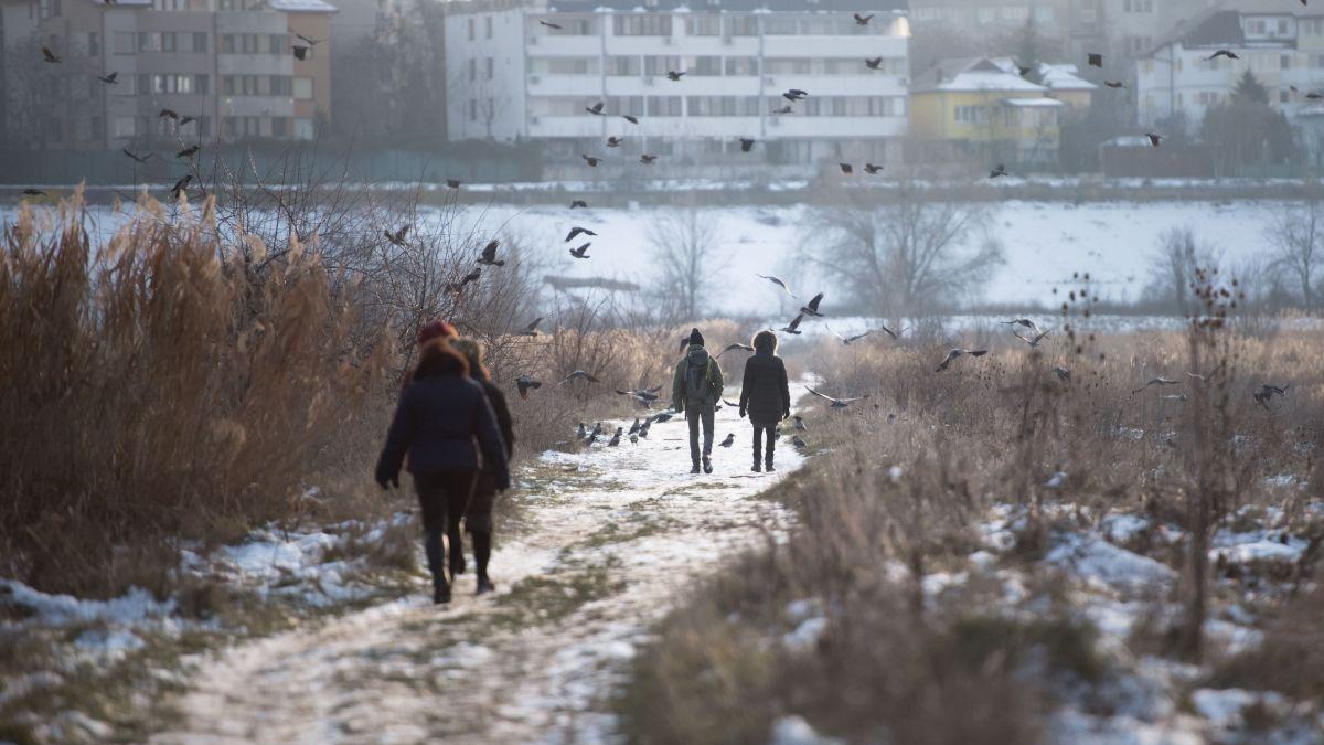 Prognoza meteo 22 martie - 19 aprilie. Meteorologii anunță încă o săptămâna de frig și ninsori