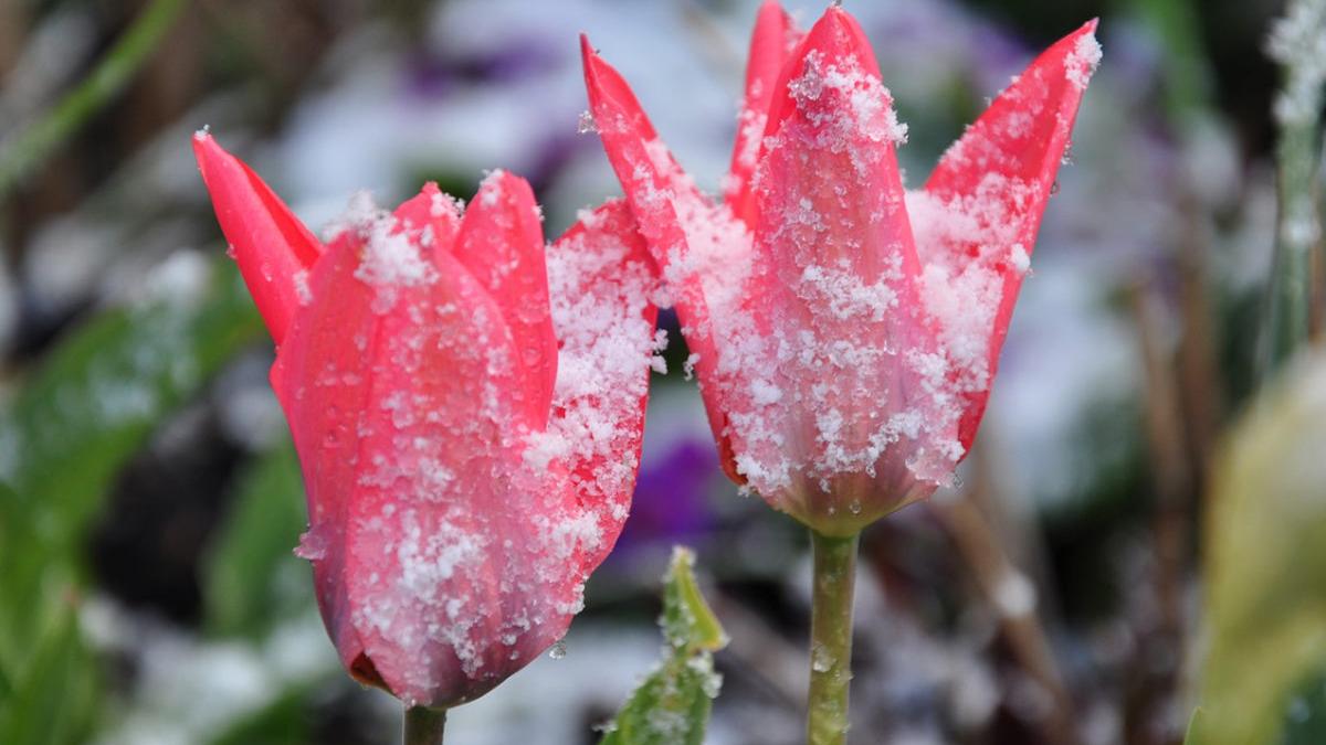 Prognoză meteo. Val de aer rece peste România. Temperaturi negative în majoritatea regiunilor