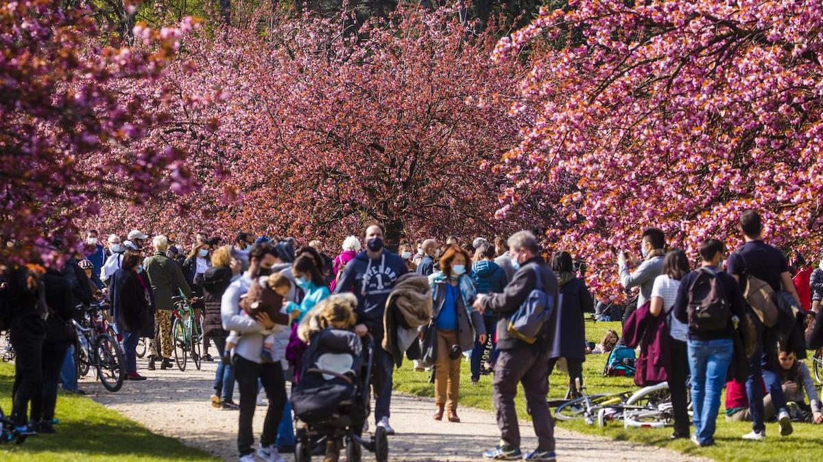 Prognoza meteo pentru 3-14 mai: temperaturile cresc, maxime de 29 de grade