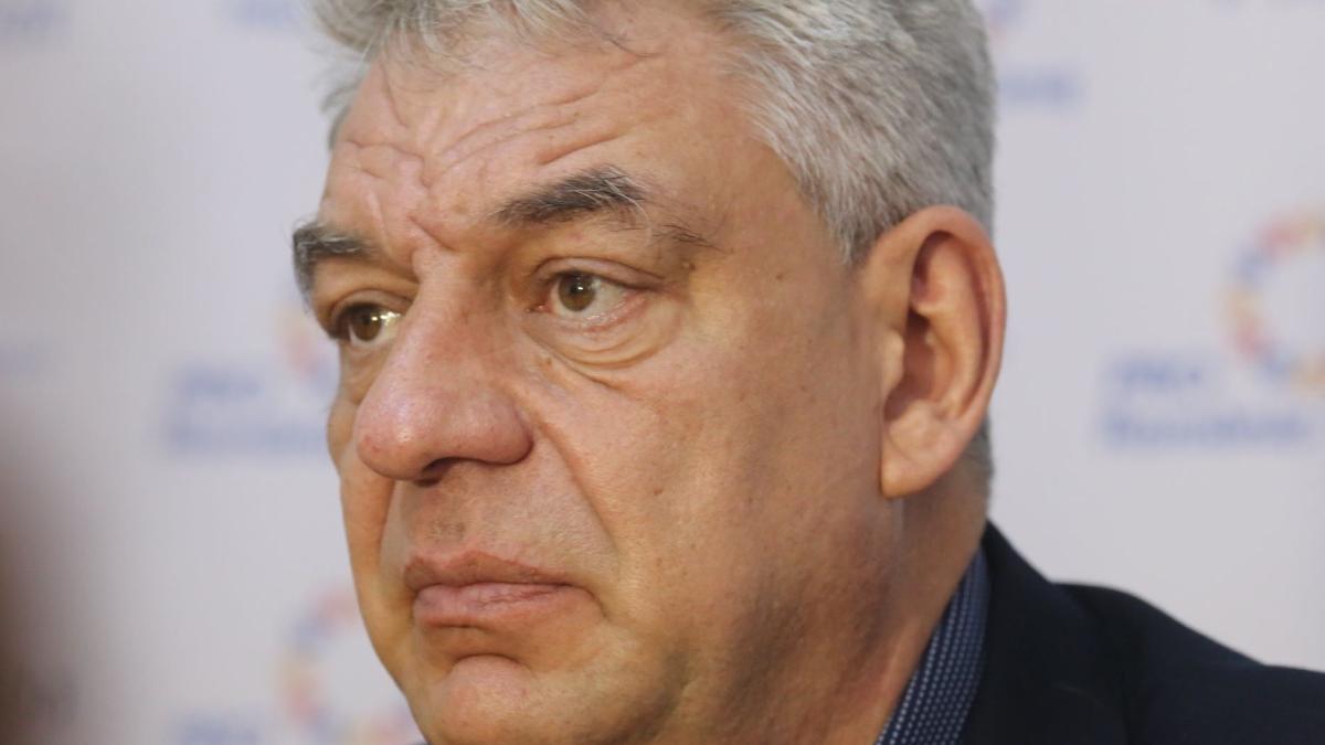 Mihai Tudose: Ursul Artur a fost omorât cu complicitatea structurilor guvernamentale