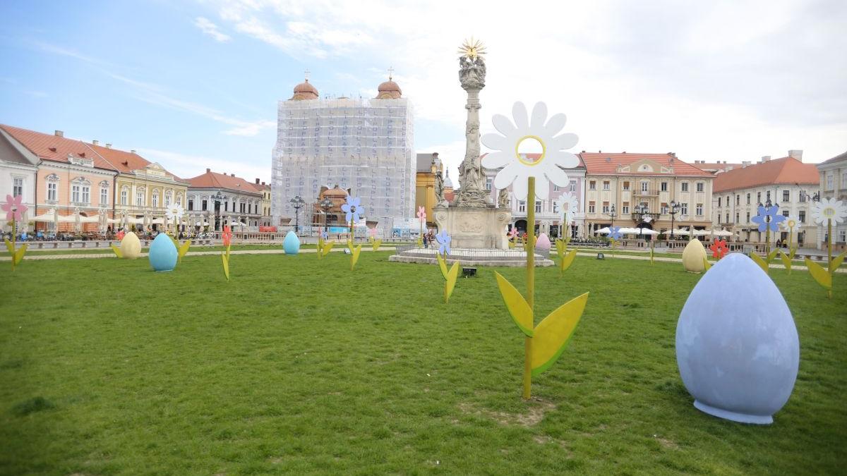 Vești bune pentru timișoreni! Oraşul de pe Bega intră în scenariul verde