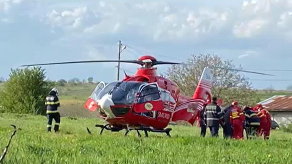 Un bărbat a intrat în şoc anafilactic, după ce a fost mușcat de un șarpe veninos în Iaşi. Sfatul medicilor în astfel de cazuri