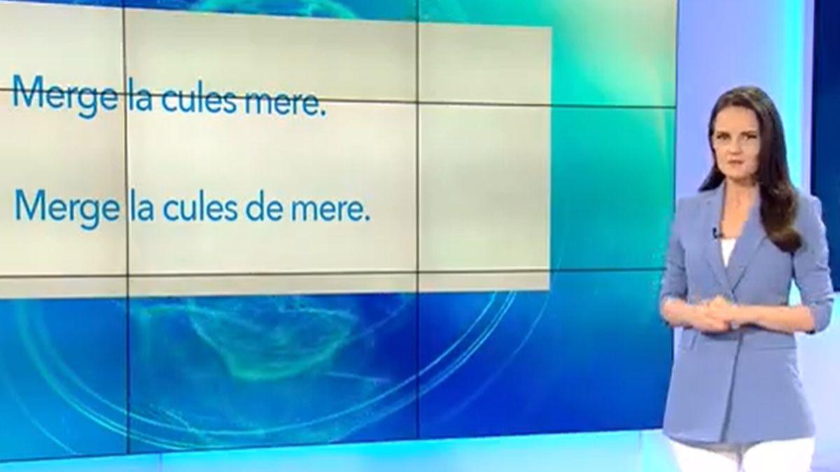 Pe cuvânt, cu Ana Iorga. Mergem ”la cules mere” sau ”la cules de mere”?