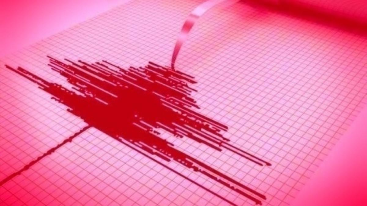 Două cutremure, la interval de 7 ore, în Muntenia și Transilvania, marți noaptea