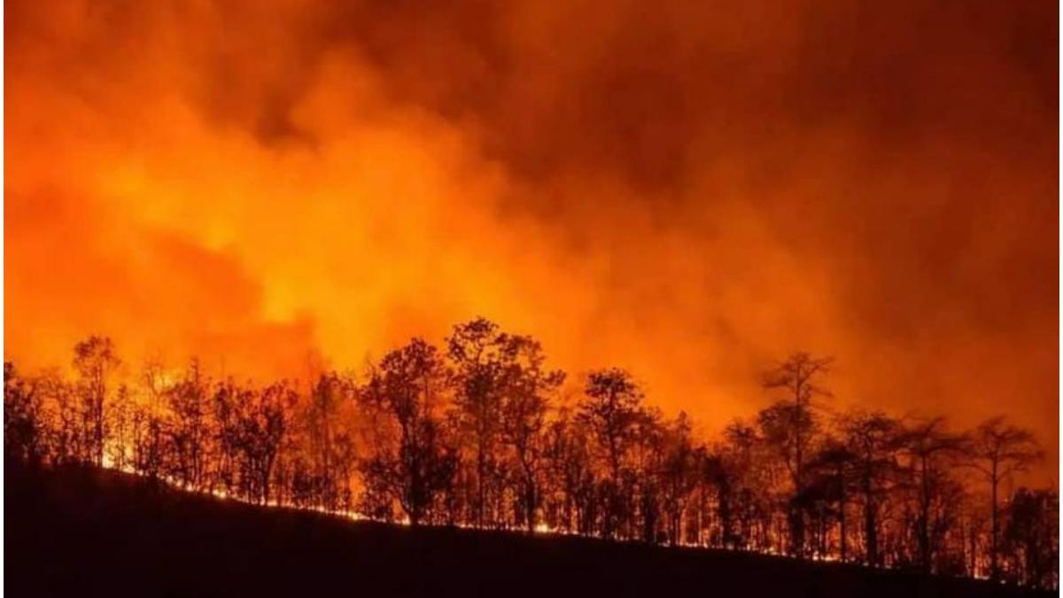 incendiu Montiferu Italia