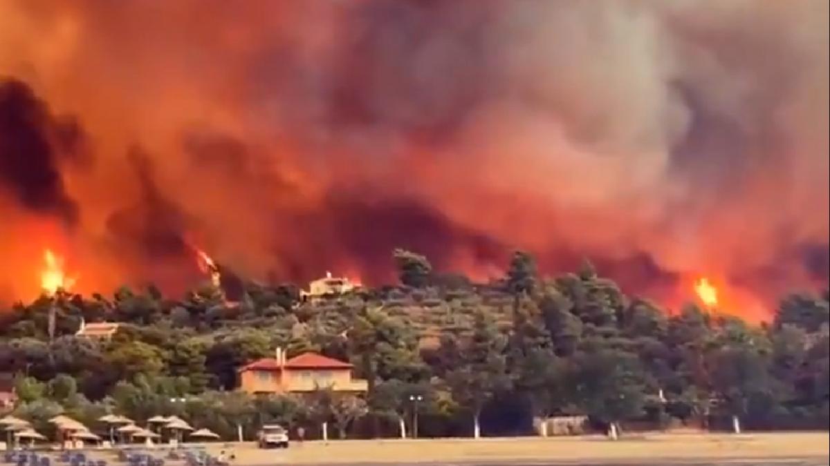 Grec drogat, arestat pentru că a pus foc intenționat într-o pădure