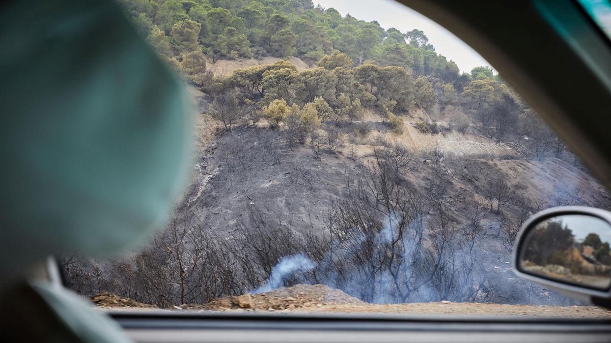 incendii algeria