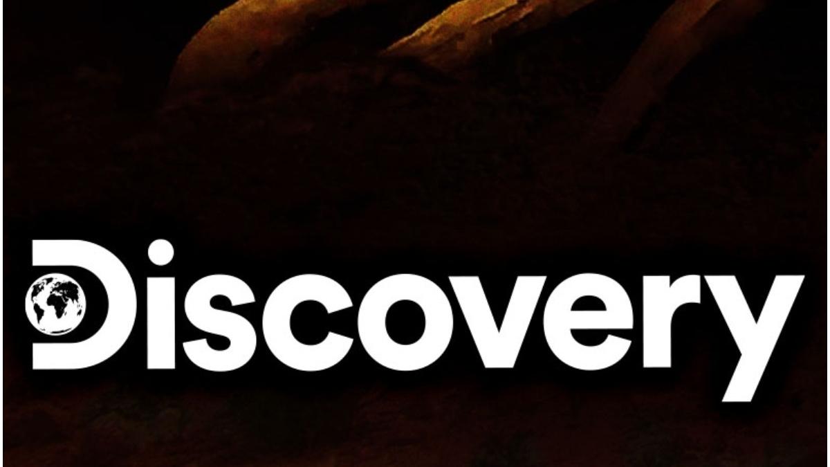 discovery channel logo