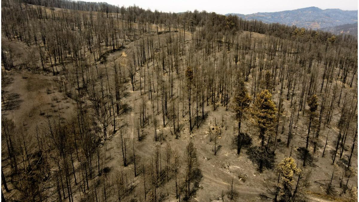 grecia incendii padure