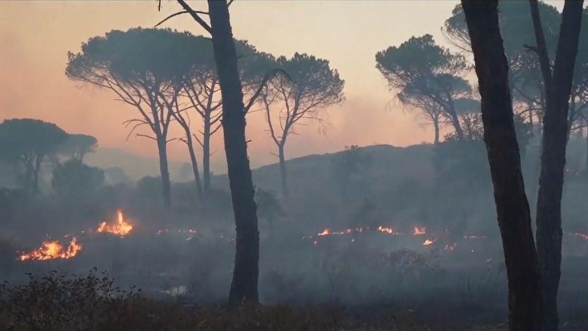 Coasta de Azur, în flăcări. Președintele Franței și-a întrerupt vacanța