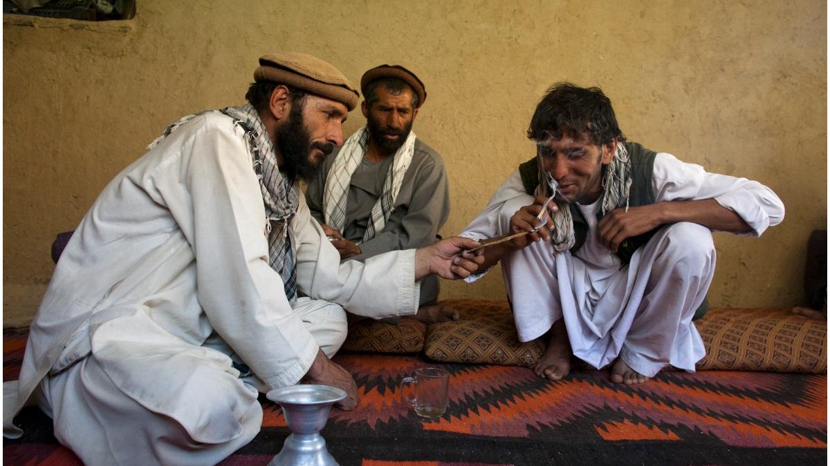 Taliban marijuana