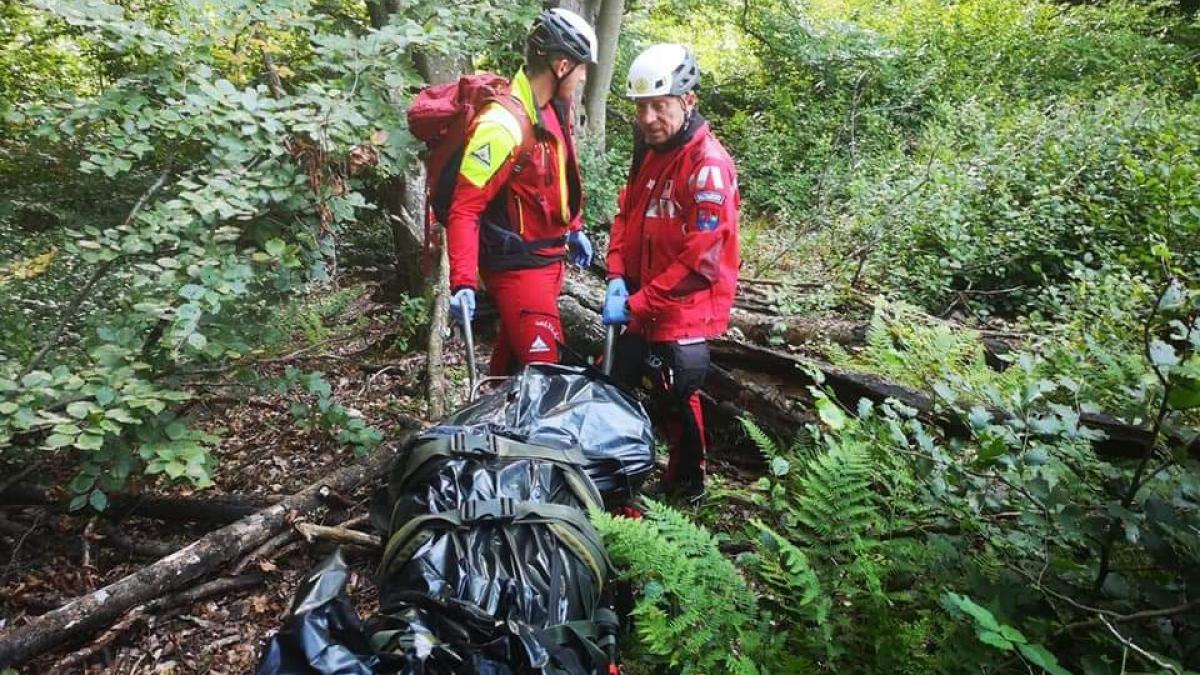 Un bătrân plecat după ciuperci și-a găsit sfârșitul în pădure. Intervenție dramatică a salvamontiștilor din Maramureș 