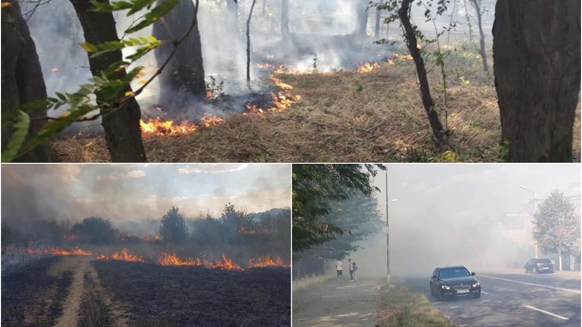 Incendiu De Vegetaţie In Parcul Nicolae Romanescu Din Craiova