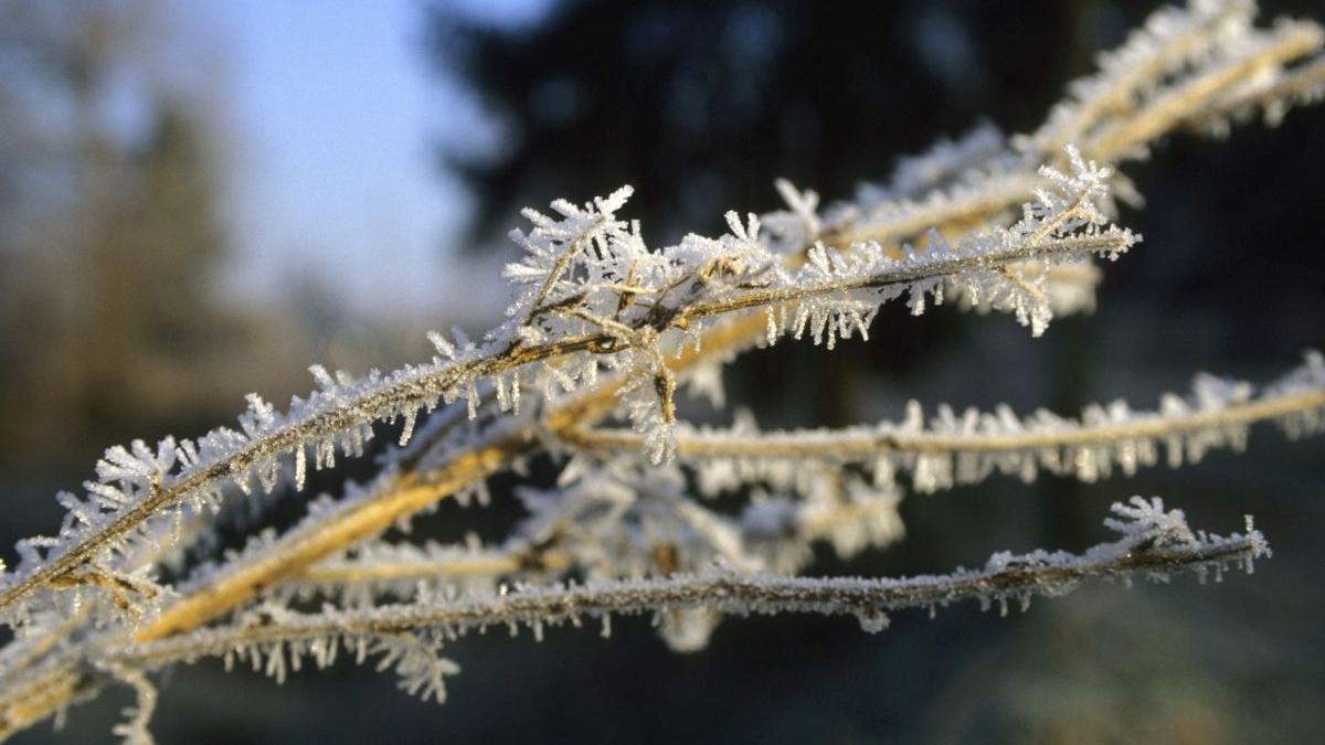 bruma miercurea ciuc