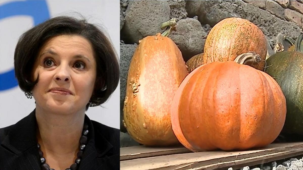 Dovleacul, mai mult decât un ornament de Halloween. Lygia Alexandrescu prezintă beneficiile asupra sănătăţii