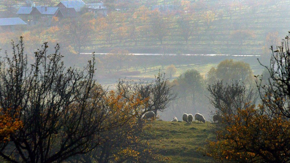 Prognoza meteo noiembrie 2021. Vremea va fi caldă în primele două săptămâni, după care se va schimba radical