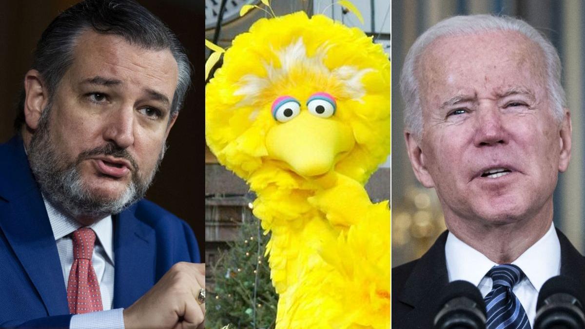 Cruz big bird Biden