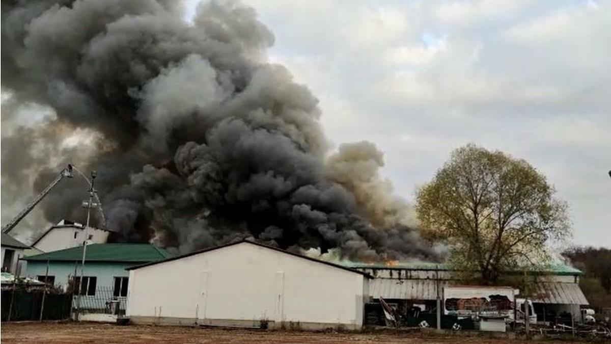 incendiu fabrica mezeluri olt