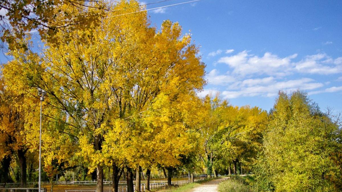 prognoza meteo toamna cald