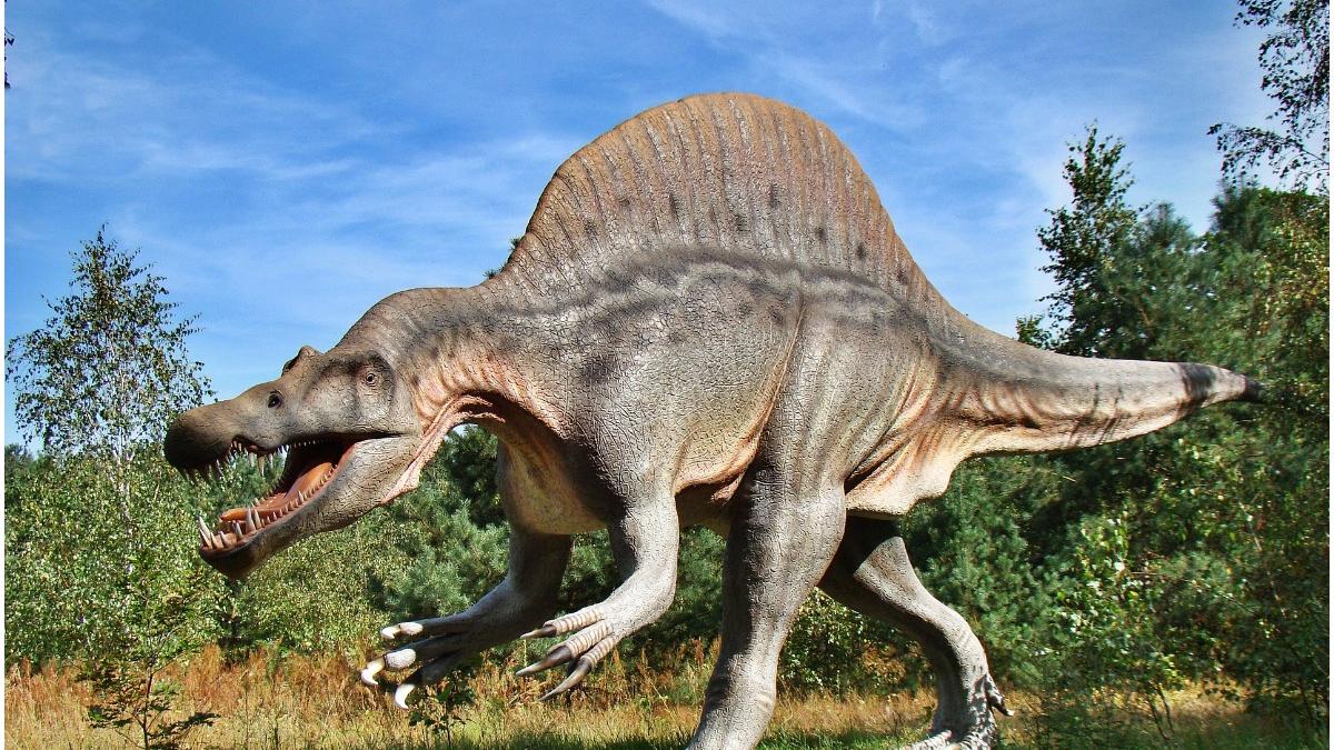 dinozaur