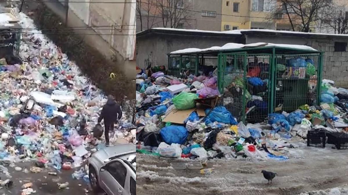 baia-mare-stare-alerta-deseuri